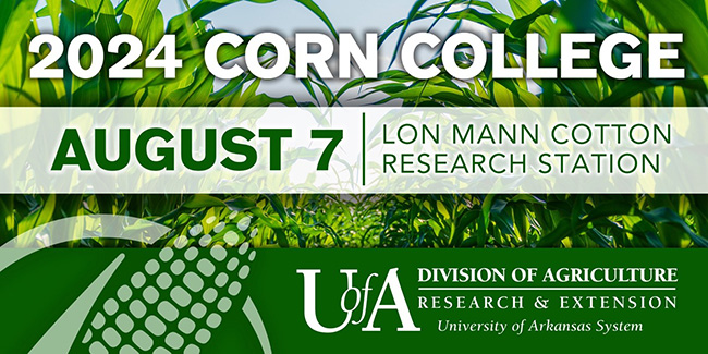 2024 Corn College, August 7th, Lon Mann Cotton Research Station