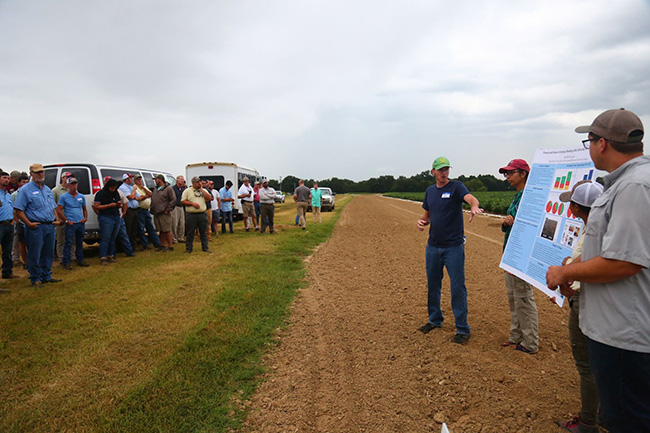 People in a field during a presentation